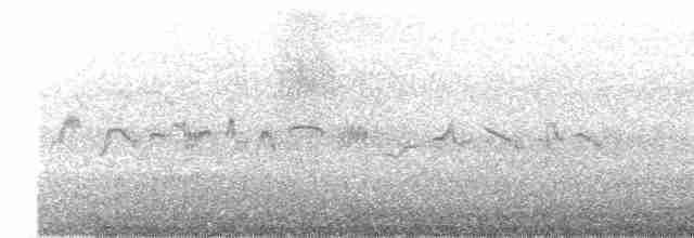 halsbåndfrankolin - ML618009736
