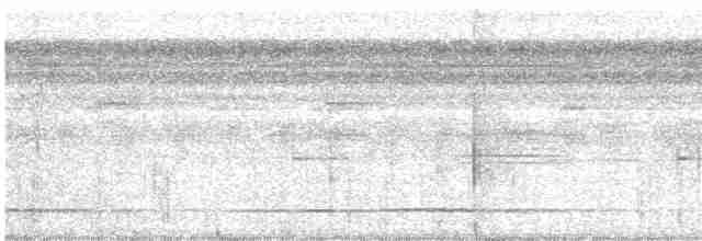 Great Tinamou - ML618010006
