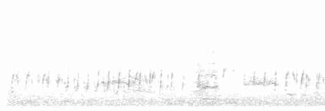 anhinga australská - ML618010560