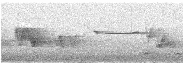 Ширококрылый канюк - ML618011138