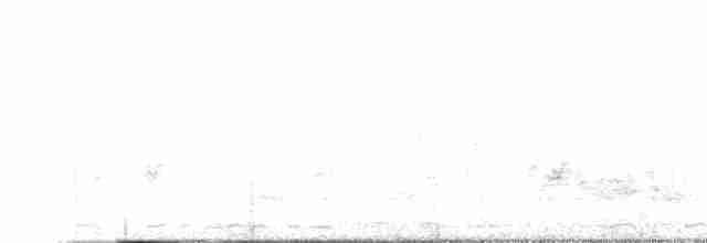 オナガサイホウチョウ - ML618011331