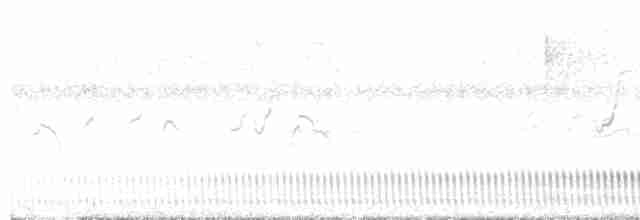 Schleppennachtschwalbe - ML618012424