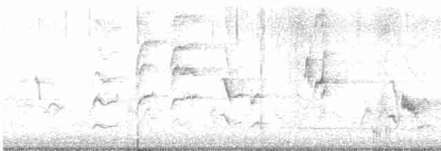 drozdec černohlavý - ML618012514