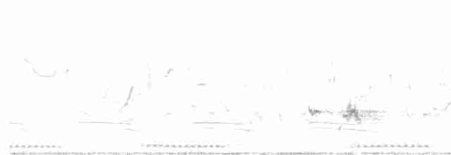 hrdlička divoká - ML618012808