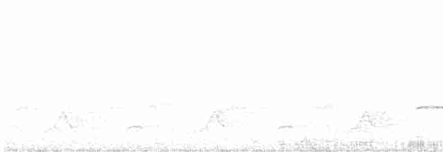 Schwarzkehl-Nachtschwalbe - ML618013221