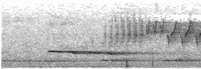 Mor Nektarkuşu - ML618013672