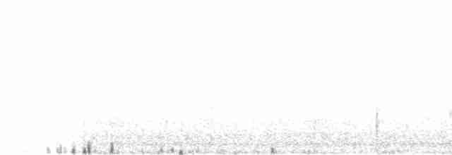 White-crowned Wheatear - ML618013673