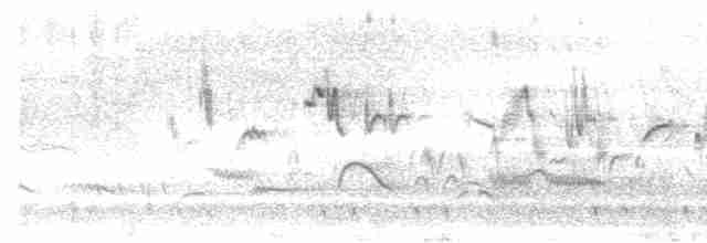 Rothals-Nachtschwalbe - ML618013894