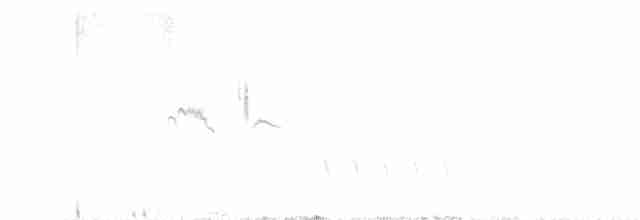 Red-necked Nightjar - ML618013907