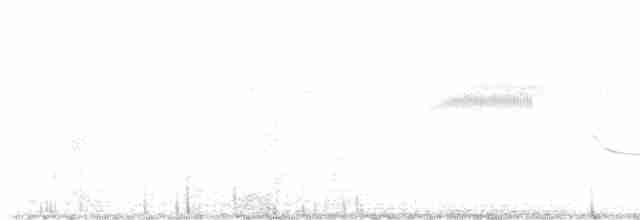 Прерийный кроншнеп - ML618014171