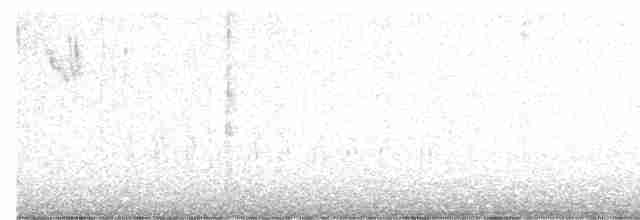 Белогорлая зонотрихия - ML618014176