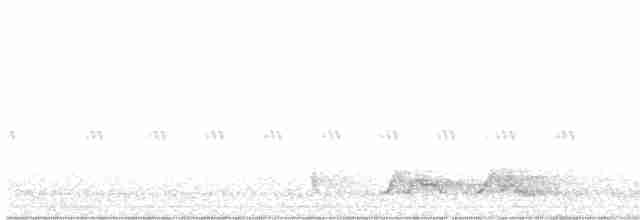 Chotacabras de la Carolina - ML618014424