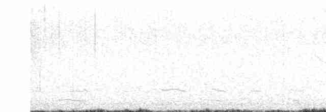 オジロヒメドリ - ML618014426
