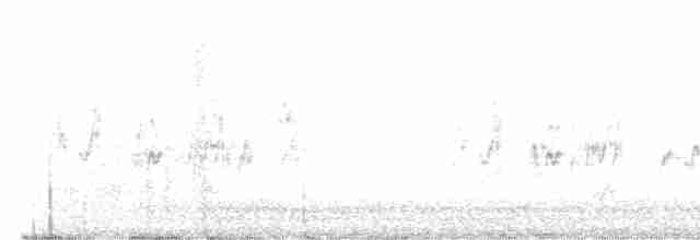 vlaštovka obecná - ML618014459