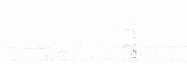 čejka černoprsá - ML618014922