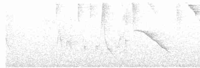 Gri Başlı Tangara - ML618015002
