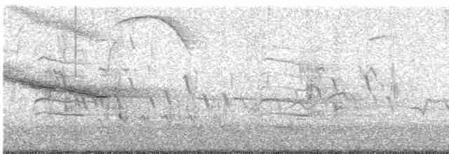 vlhovec červenokřídlý - ML618015715