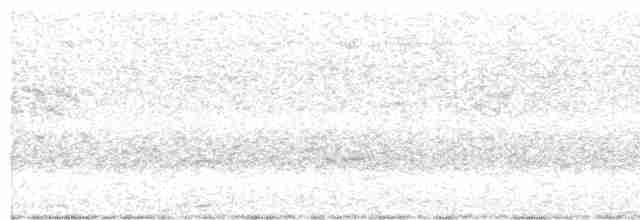 Schlankschnabel-Regenpfeifer - ML618016002