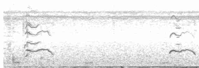 Großschnabel-Seeschwalbe - ML618016087