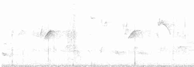 Indienfächerschwanz - ML618016393