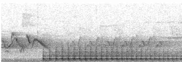 Pileated Woodpecker - ML618016579