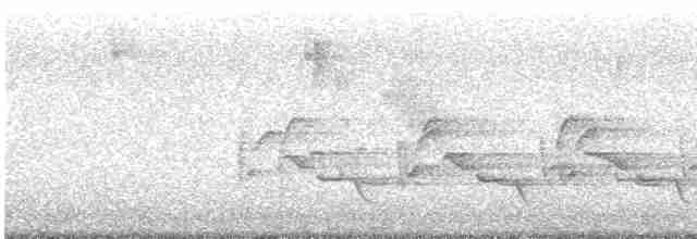 Каролинский крапивник - ML618016647
