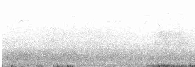 Gri Göğüslü Kırlangıç - ML618016658