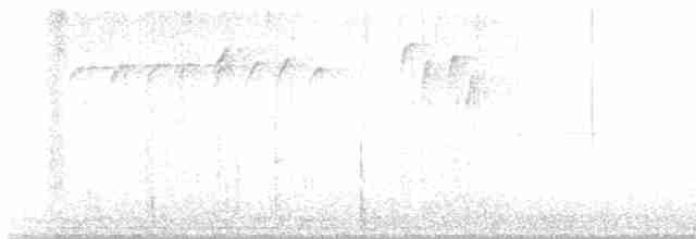 Paruline des ruisseaux - ML618016914