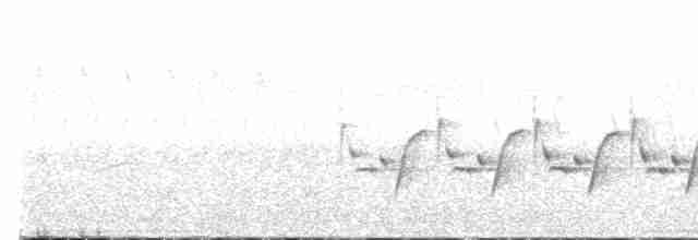 Каролинский крапивник - ML618017010