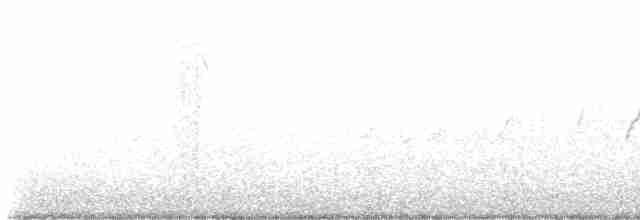 Трясогузковый певун - ML618017047