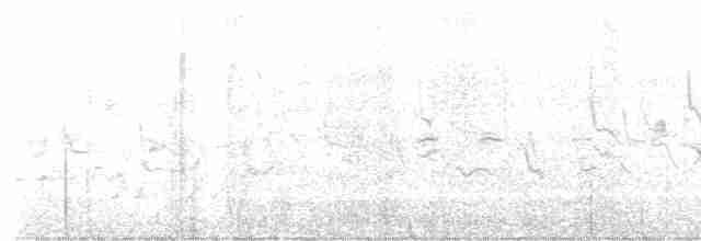 Кропив'янка сіра - ML618017056
