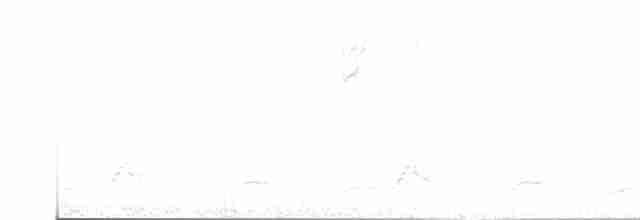 Schwarzkehl-Nachtschwalbe - ML618017427