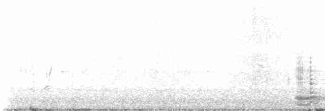 Cuervo Grande - ML618018781