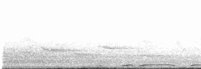 Eurasian Collared-Dove - ML618018848