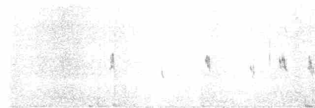 Gallo de las Artemisas Grande - ML618019366