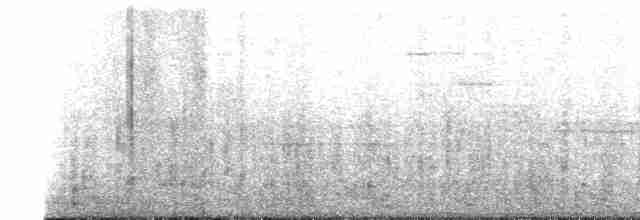 Поплітник каролінський - ML618019424