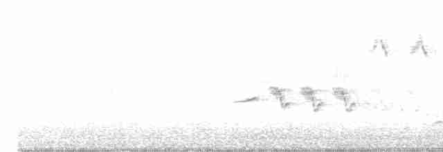 Common Redstart - ML618019503