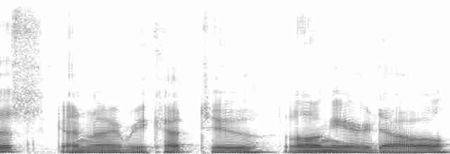 Kulaklı Orman Baykuşu (wilsonianus/tuftsi) - ML61802