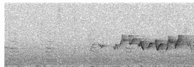 Kahverengi Vireo - ML618020452