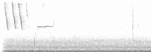 Tennessee Warbler - ML618020630