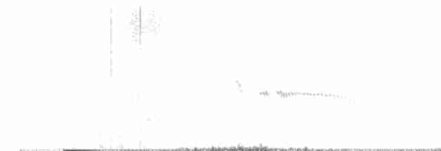 chocholouš vavřínový - ML618020970