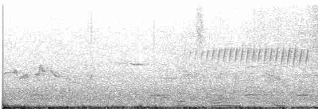 Pine Warbler - ML618021057