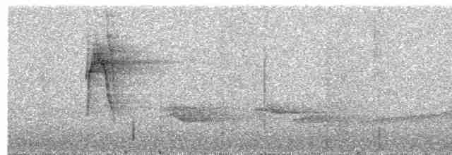 Ticotico de Anteojos (variegaticeps) - ML618021140