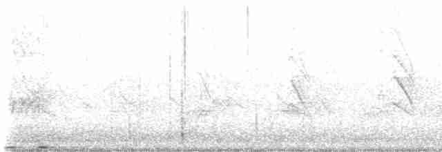 セスジツバメ - ML618021164