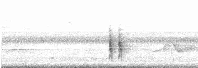 Oriole des vergers - ML618021168