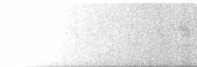 Тремблер прямодзьобий - ML618021509