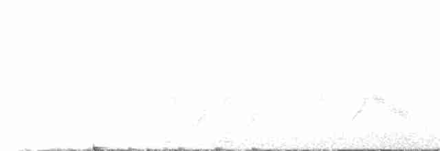 Paruline à dos noir - ML618021917