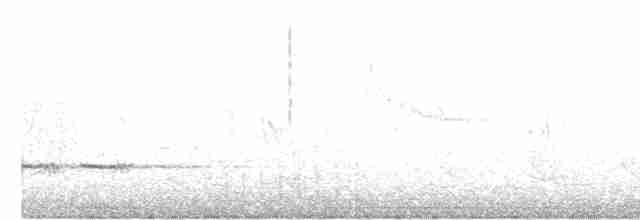 Carouge à épaulettes (groupe phoeniceus) - ML618022167