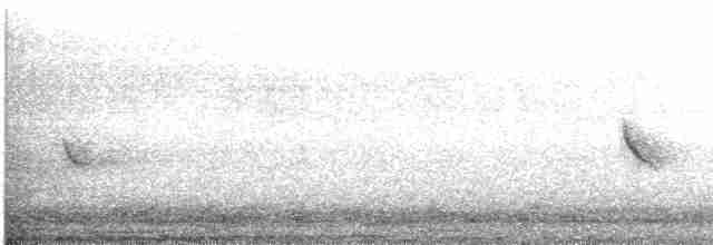 Black-cowled Oriole - ML618022588