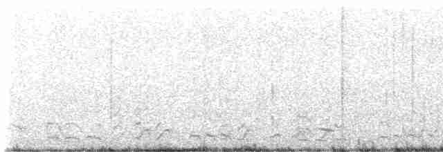 Weißkehlwachtel - ML618022612